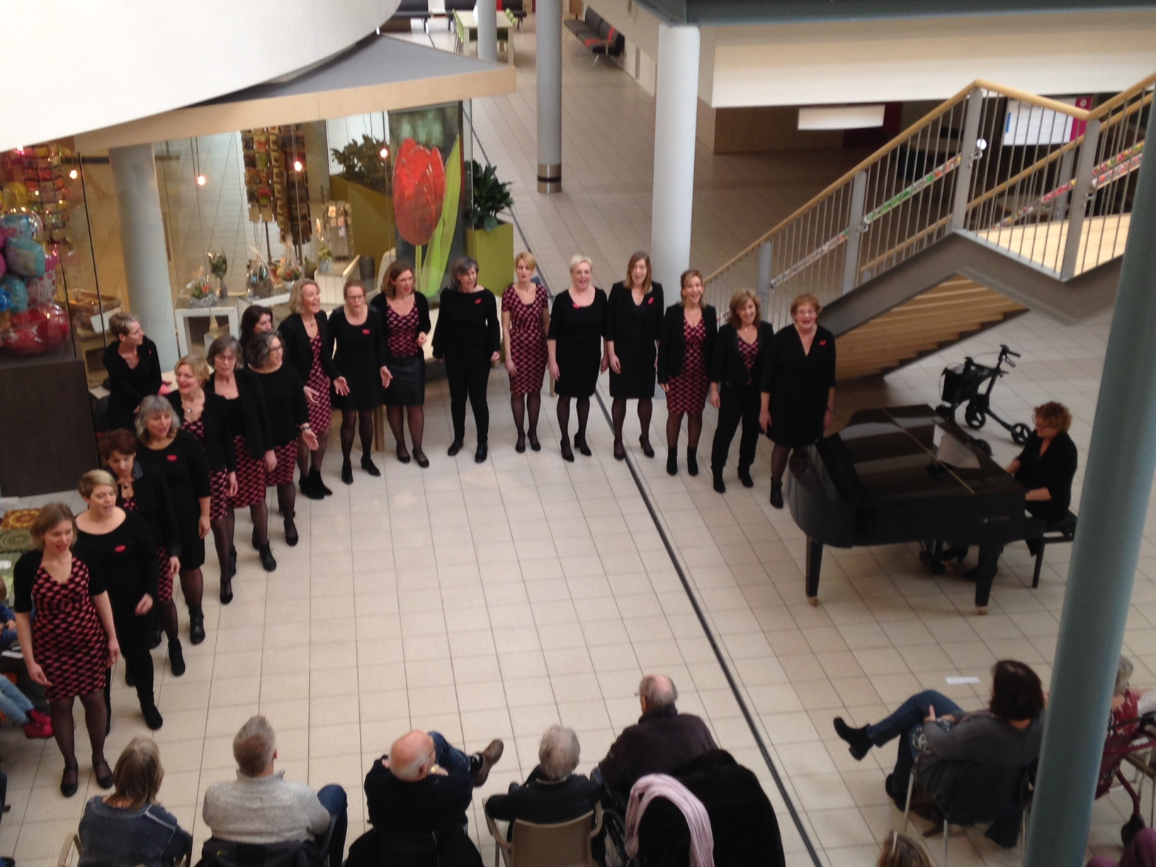 Lees meer over het artikel Optreden No Romeo’s in het Deventer Ziekenhuis